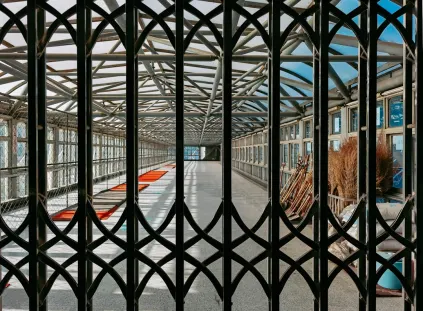 Paripesa Casino Mobilapp